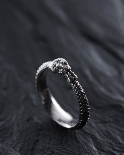 Серебряное кольцо OUROBOROS / Кольца + 4