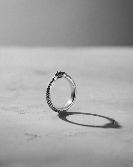 Серебряное кольцо OUROBOROS / Кольца + 2