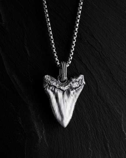 Серебряный кулон MEGALODON SHARK TOOTH / Кулоны + 3