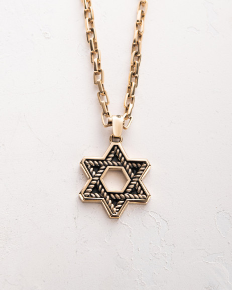 Pendant THE JEWISH STAR ​(14k yellow gold)